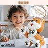 ROBOT PLAZA Roboterhund Spielzeug, Beweglich, Multifunktional, Infrarot-Fernbedienung, Musik, Tanzen, Berührungsreaktion, Einfache Programmierung, USB-Aufladung, Jungen,