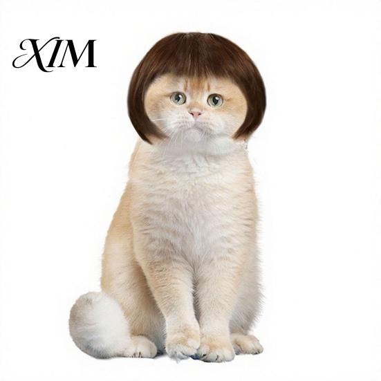 Small Pet Party Accessory Bob Wig, Funny Cat Wig with Adjustable Elastic Band, Soft Breathable Strap Headpiece Mesh, Cute Cosplay for Dogs And