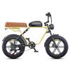 ENGWE M1 20palcové elektrické dirtové kolo s baterií 48 V 15,6 Ah, 250W plně odpružené horské kolo