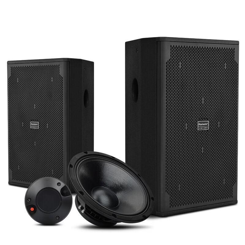KAXISAIER Professional Full-Range Passive Speaker CN plug (adapter included)
