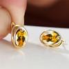 

Wish Blast Champagne Gold Geometric Oval Red Diamond Earrings Ladies Fashion Commuter