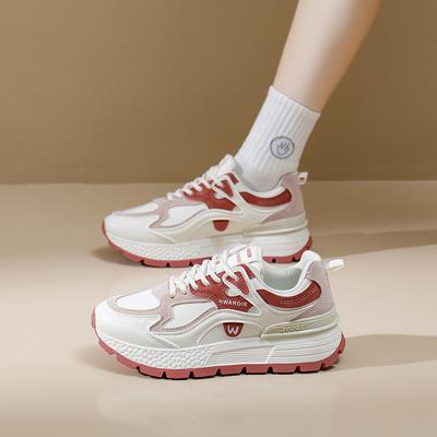 Ins Korean Version Mesh Dad Shoes Women's 2025 Spring New Breathable Female Student Sports Shoes Casual Shoes AD8802