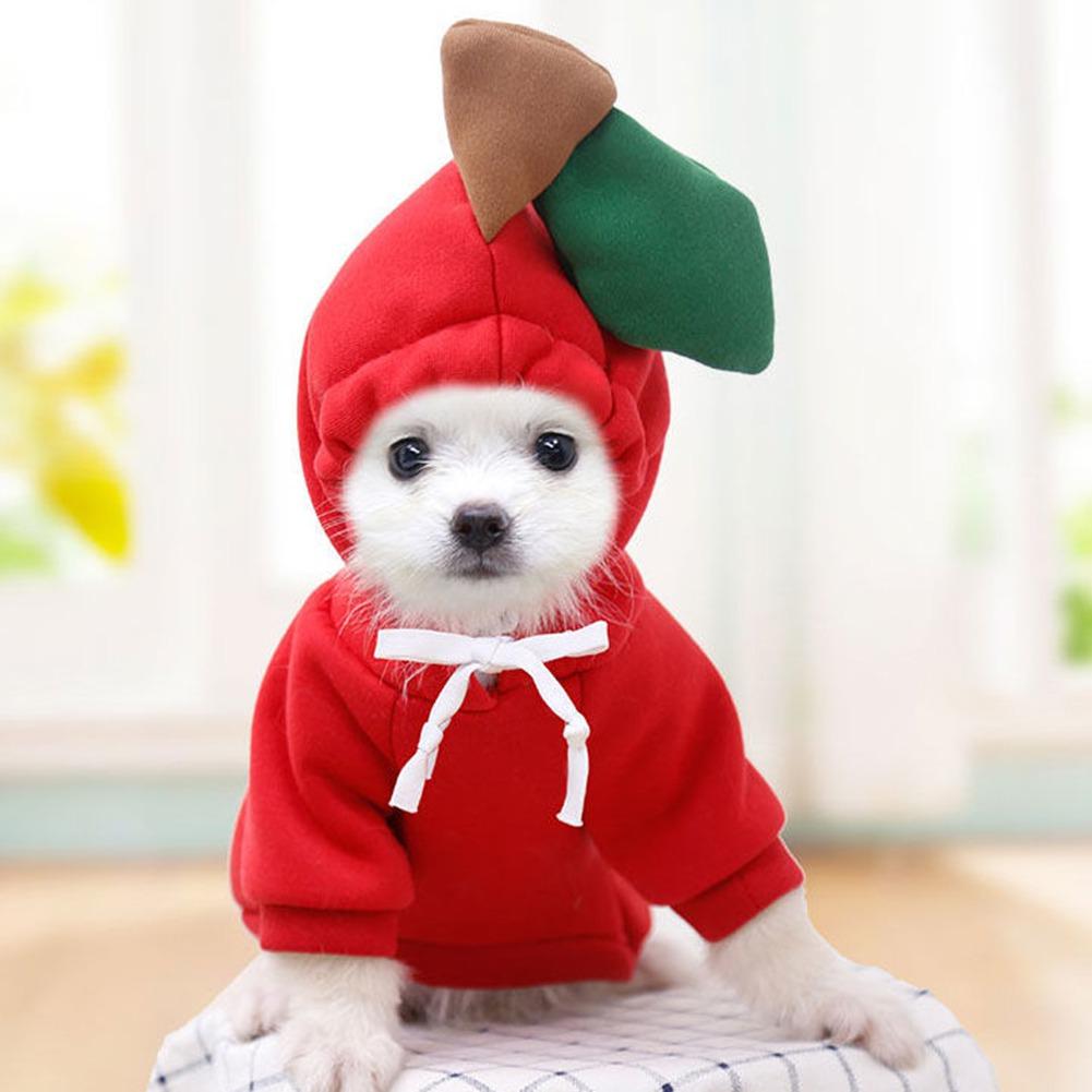 Fruit Dog Hoodie Clothes Cute Halloween Christmas Costume Pet Sweater Cold Weather Sweatshirt Pet Coat for Small Dogs Cats