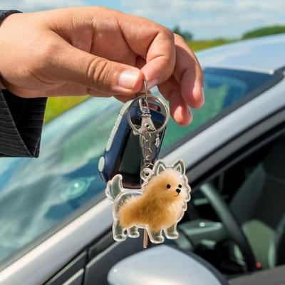 Hundehaar Aufbewahrungsanhänger Schlüsselanhänger Transparentes Hundehaar Sammler Anhänger Souvenir Sammlung Geschenktüte Dekoration Schlüsselanhänger Schmuck