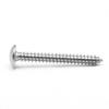 Nickel-Plated Phillips Head Flat & Mushroom Umbrella Head Self-Tapping Screws - M3, M4, M5, M6