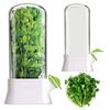 Cilantro Crisper Box with Water Reservoir Case  Storage Container  Fresh-Keeping Container for Storing Cilantro