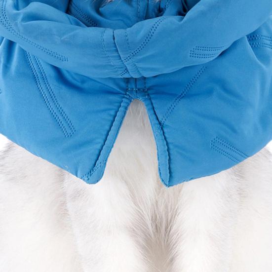 Katze Schutzkragen Verstellbar Winddicht Hautfreundlich Beißschutz Polyester Wundheilung