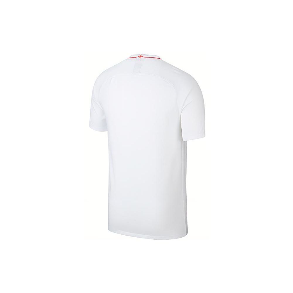 Nike 2018 World Cup 32 Teams Tour Round Neck Short Sleeve T-Shirt Men Tops 893868-100