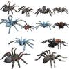 Spider Model Set With Plastic Material For Home Decor And Gift For Nature Lovers