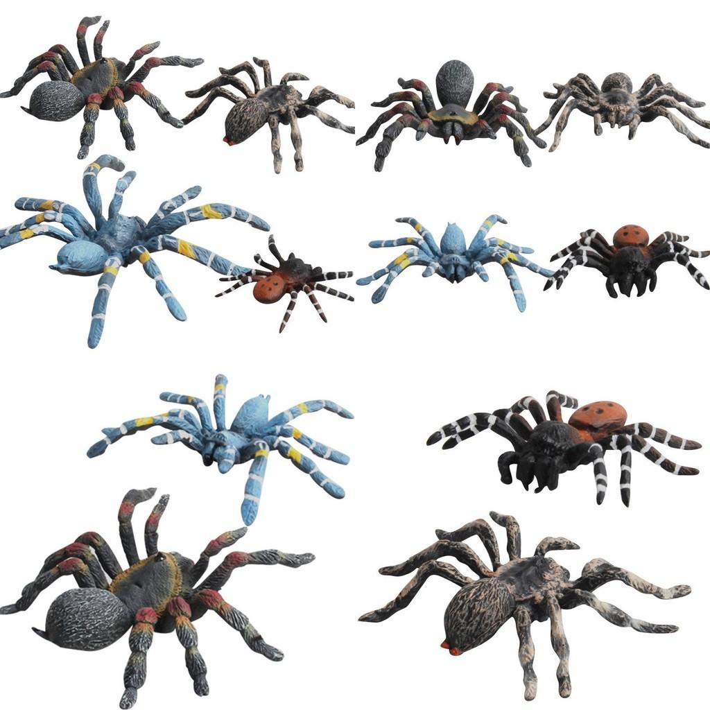 Spider Model Set With Plastic Material For Home Decor And Gift For Nature Lovers