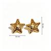 High-End Gold Star Stainless Steel Earrings