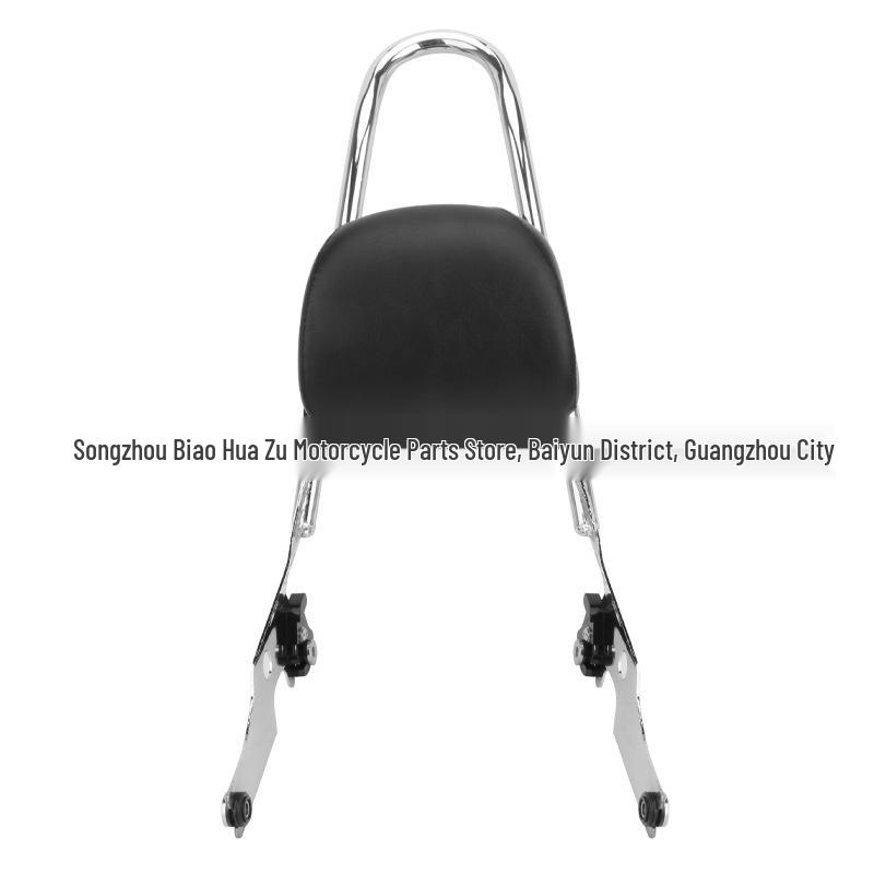 Detachable Rear Backrest & Luggage Rack for Harley XL883/1200/48/72 Motorcycle