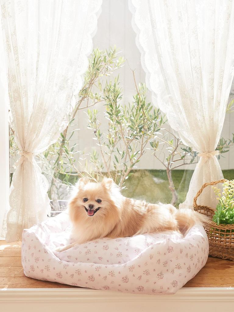 Maison De FLEUR Original Flower Print Pet Bed, Medium, Pink, with Pet Cushion, 8A41YZM0600