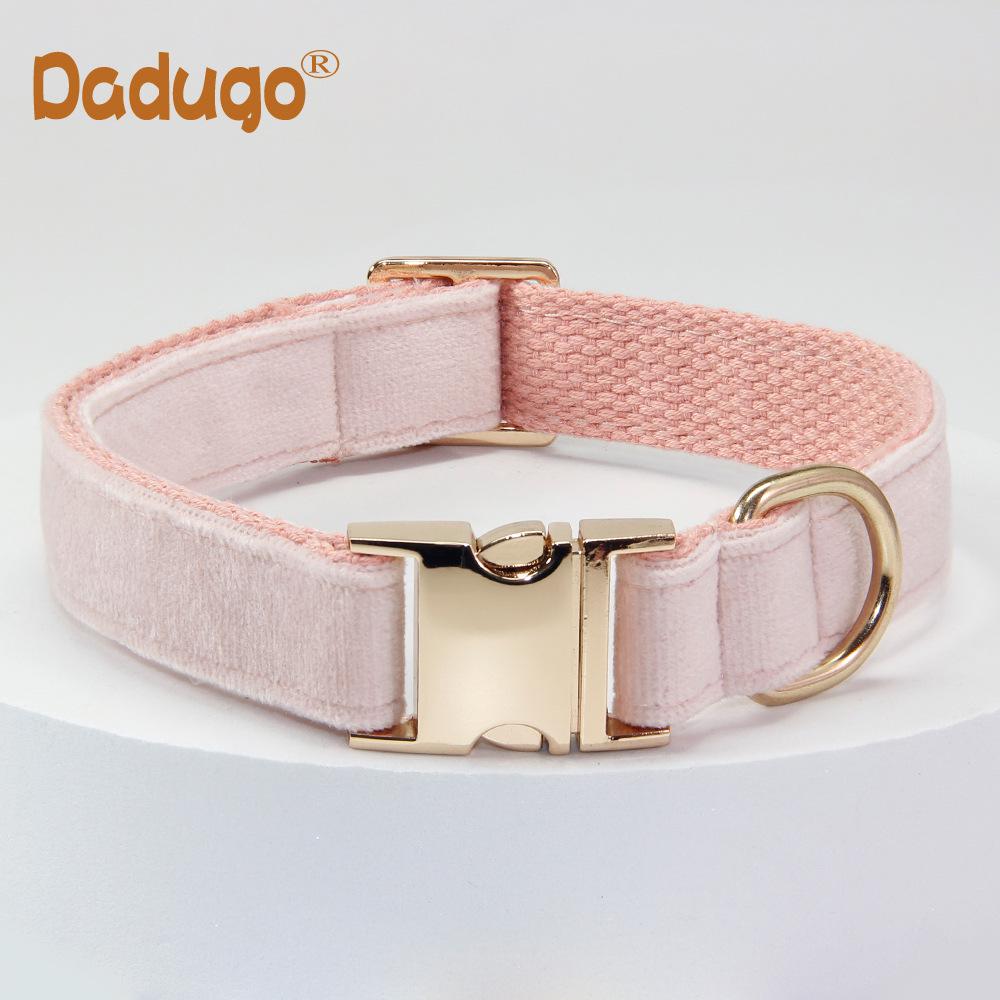 Graviertes Anti-Verlust-Hundehalsband- und Leinen-Set – verstellbar für mittelgroße bis große Hunde