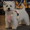 Fashionable Dog Apparel No Pull Harness with 5Ft Leash, Cute Colorful Wings Harness, Adjustable Wing Design Reflective Vest Handle for Walking