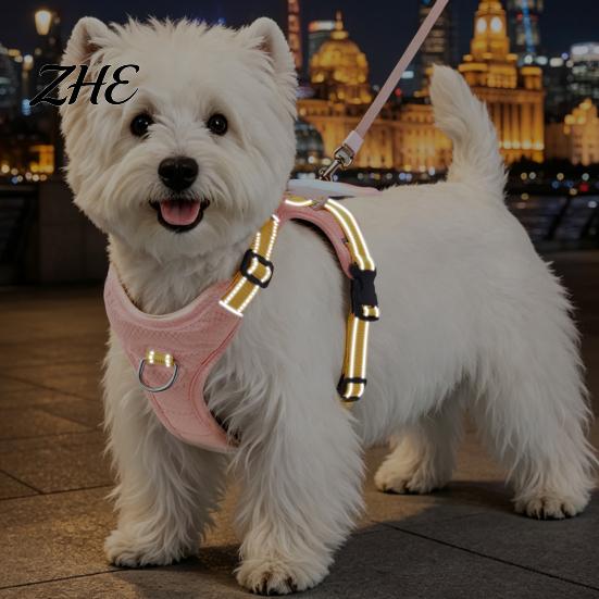 Fashionable Dog Apparel No Pull Harness with 5Ft Leash, Cute Colorful Wings Harness, Adjustable Wing Design Reflective Vest Handle for Walking