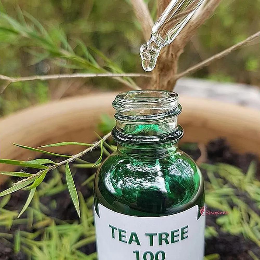 Tea Tree Oil Essential Face Spot Extract 30ml 100 Tea Tree Leaf Scalp Care