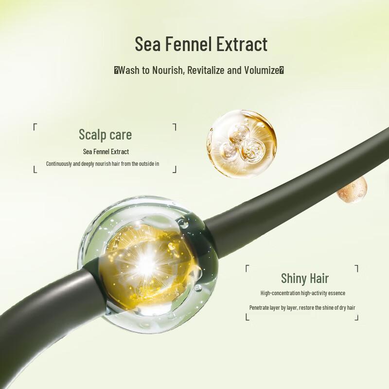 LOEBOTANI Essential Oil Hair Care Series