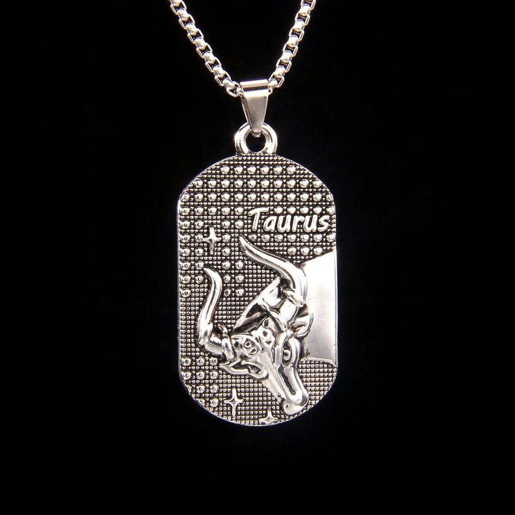 Fashion Twelve Constellations Dog Tag Pendant Necklace, Ladder Symbol Necklace, Street Style Sweater Chain