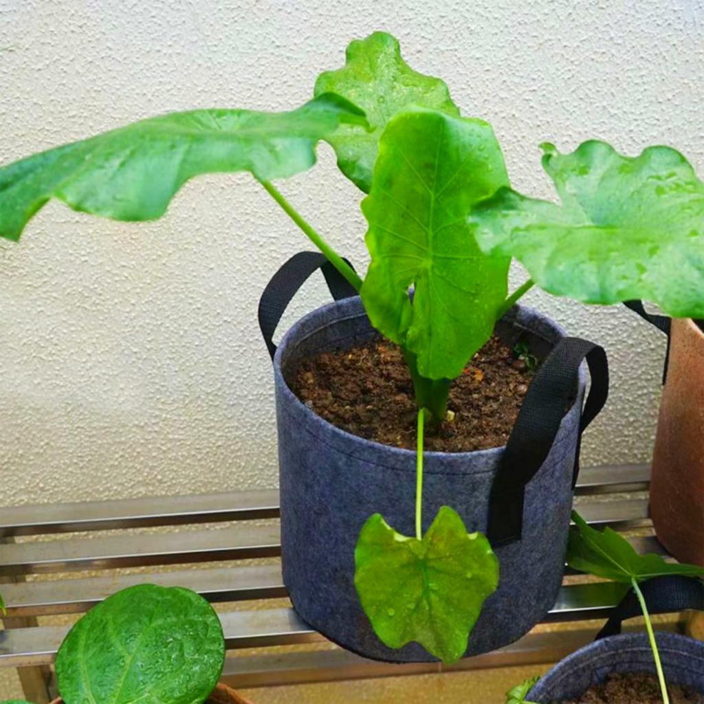 2/5/10 Gallon Garden Grow Bag Felt Plant Growing Pot Flower Vegetable Fruit Herb Fabric Container Indoor Outdoor Planting Tools