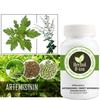 Complément Alimentaire Herbal D-tox Artémisinine ~ Armoise (Artemisia Annua L) 100% Pure, 100 gélules x 500 mg