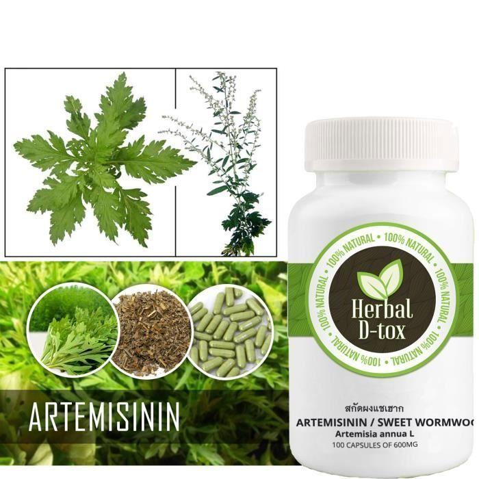 Complément Alimentaire Herbal D-tox Artémisinine ~ Armoise (Artemisia Annua L) 100% Pure, 100 gélules x 500 mg