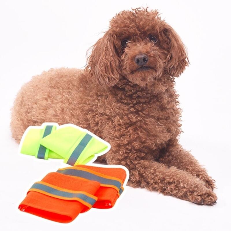 Night Walk Dog Glow Bracelet green