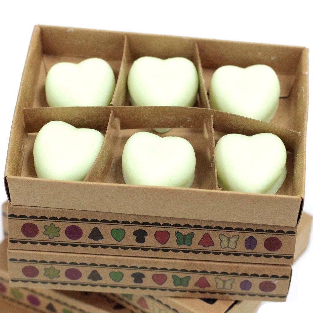 Watermelon Fresh Wax Melts Box