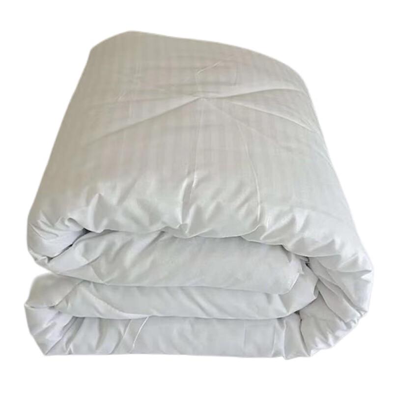 TIANSHIZHILIAN All-Season Polyester Quilt