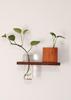 Solid Wood Wall-Mounted Flower Holder & Shelf - Decorative Vase for Plants & Water Culture