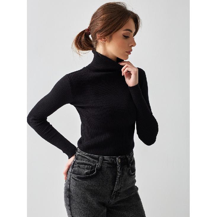Turtleneck Sweaters Bottoming Shirt