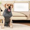 Vestiti per cani, Abbigliamento fisiologico per animali domestici, Mutandine igieniche per cani, Cani di piccola e media taglia, Cani femmina di razza Teddy, Mutandine mestruali, Cani