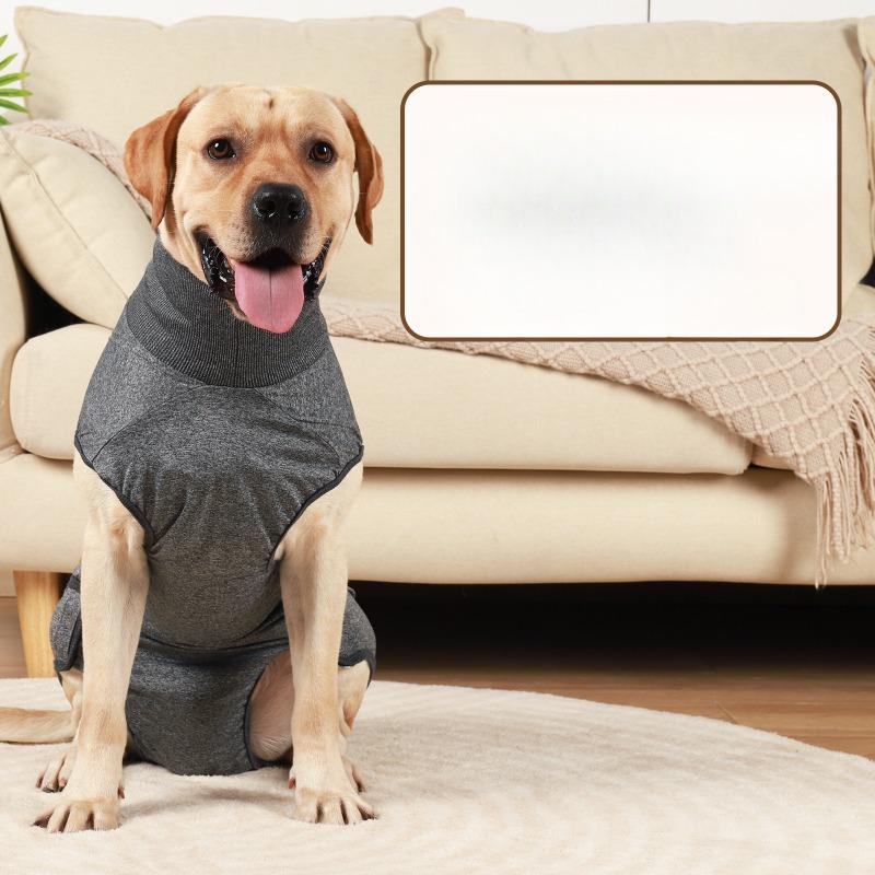 Vestiti per cani, Abbigliamento fisiologico per animali domestici, Mutandine igieniche per cani, Cani di piccola e media taglia, Cani femmina di razza Teddy, Mutandine mestruali, Cani