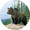 Grizzly Bear On Rock Mountain View Spare Tire Cover Premium Polyester Custom Fit Wheel Protector