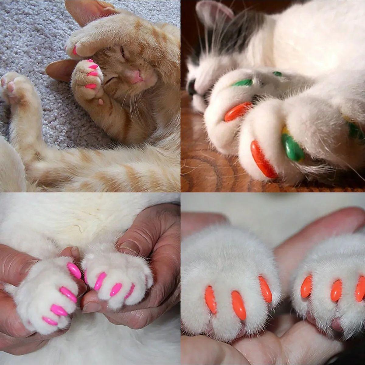 

20pcs - Soft Nail Caps for Cats + 1x Adhesive Glue + 1x Applicator /* XS, S, M, L, cover, cat, paw, claw, ztp */ L разноцветный