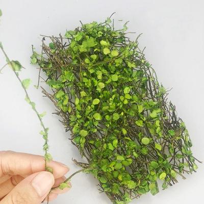 1 Schachtel Miniatur Pflanzen Kletterpflanzen Simulation Rattan Blätter Sandtisch Vegetation Gartenszene Mikrolandschaft DIY Zubehör