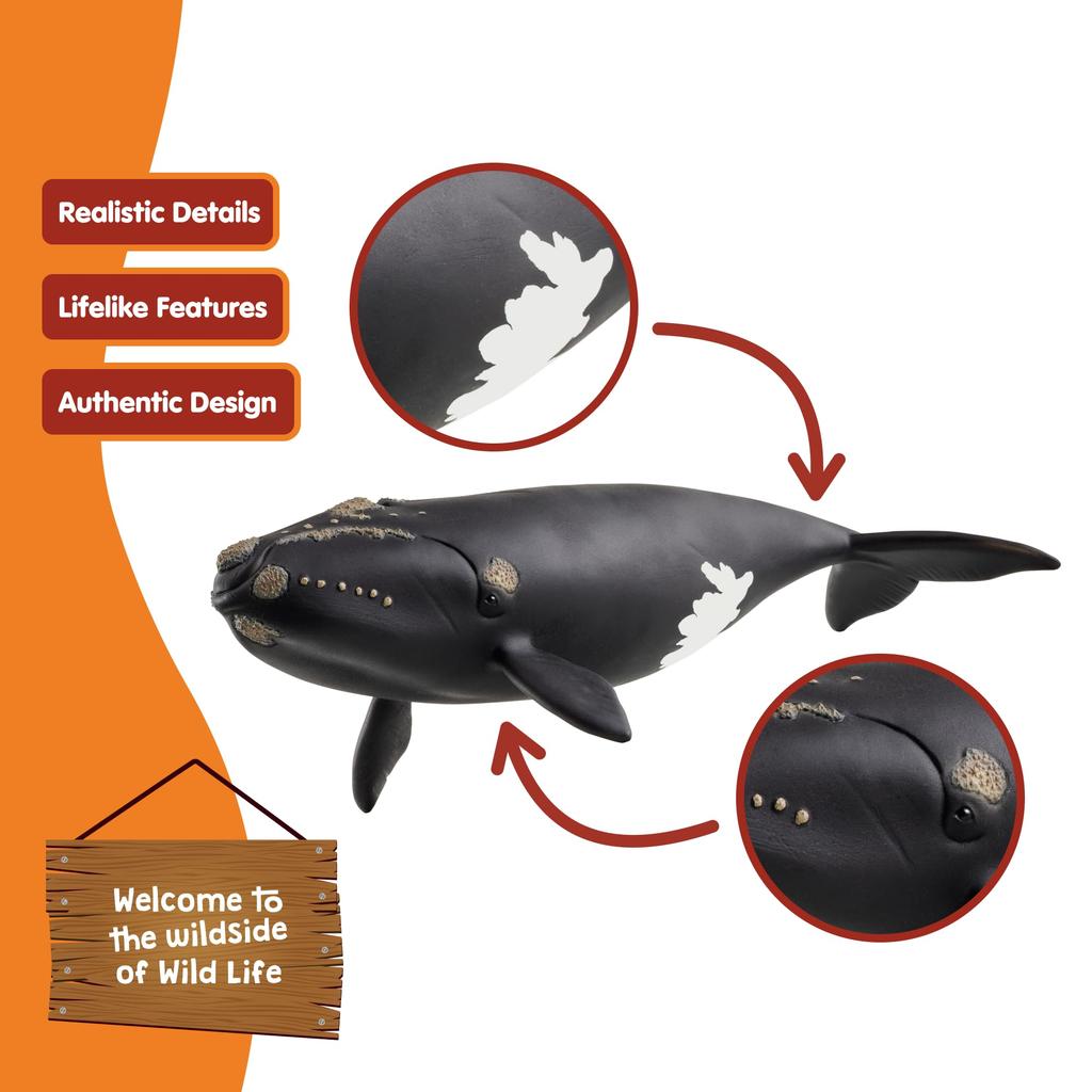 Schleich Wildlife North Atlantic Right Whale 14878