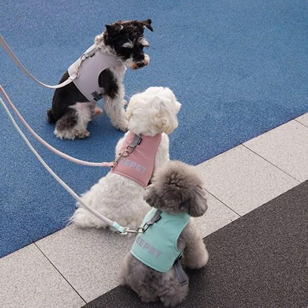 Dog Boutique Hundegeschirr, Kleidungsset, Leine, Set mit Brustleine, Spazierzubehör, Grau