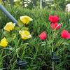 3 Heads Outdoor Solar Garden Light Realistic Solar Rose Flowers Lantern  Lawn Lighting
