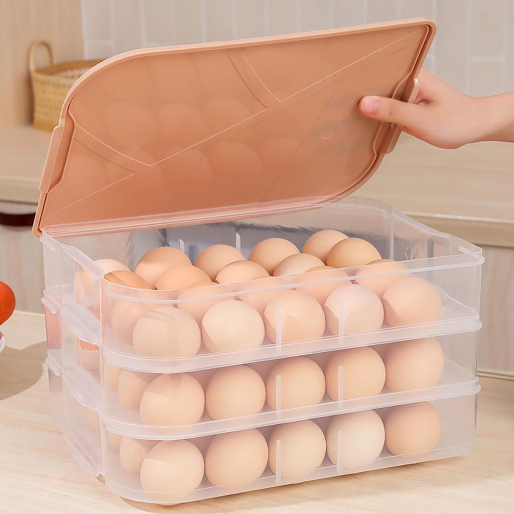 20 Compartment Refrigerator Eggs Box Fresh-Keeping Storage Box Eggs Rack