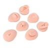 Silicone Body Part Model Soft Silicone Ear Mouth Nose Eye Tongue Navel Model with Display Rack for Teaching Display
