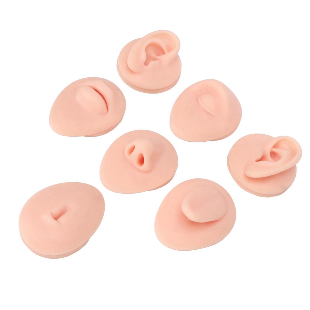 Silicone Body Part Model Soft Silicone Ear Mouth Nose Eye Tongue Navel Model with Display Rack for Teaching Display