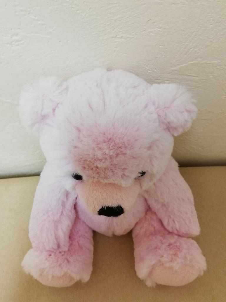 [USED] Crossfor Official Brand Authentic Teddy Bear Teddy Bear Size M