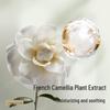 Babycare Camellia Gentle Baby Diapers
