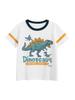 27kids Korean Style 2025 Summer Dinosaur T-Shirts for Boys - Short Sleeve Children's Tops