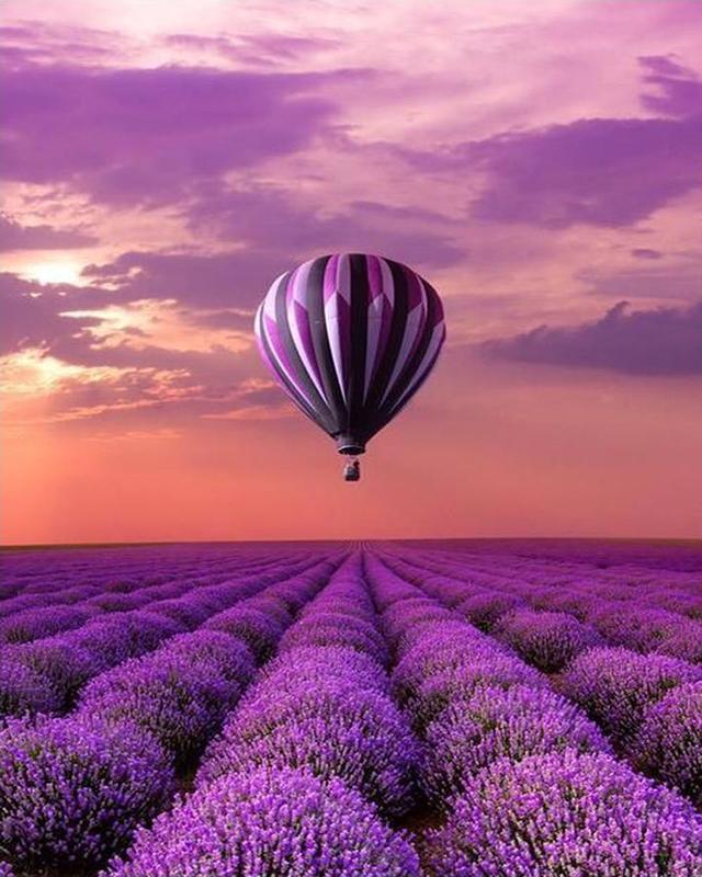 Diamond Painting New Flowers 5D DIY Diamond Embroidery Full Set Sale Landscape Rhinestones Diamond Mosaic Handicraft