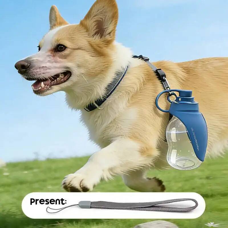 Mini Collapsible Silicone Pet Water Bottle Portable Foldable Bowl Outdoor Travel Leak-Proof Drinking Cup for Dogs Cats Hiking