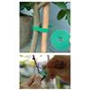 3 Rolls Green Garden Twine Plant Ties Nylon Plant Bandage Garden Hook Loop Bamboo Cane Wrap Support Garden Accessories