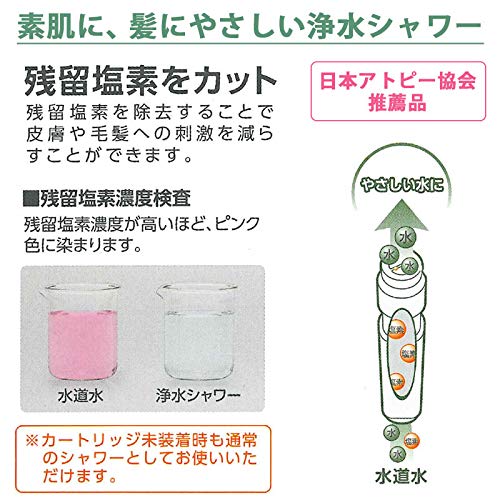 [Limited Quantity] SANEI Water Purification Switch Shower Special Pack (2 Cartridges) Shower Head, Chlorine Removal, Water Saving