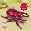 Wind-up Fighting Beetles: Creative Prank Insect Toys for Kids